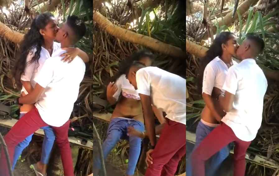 Viral Local Desi Jungle Sex
